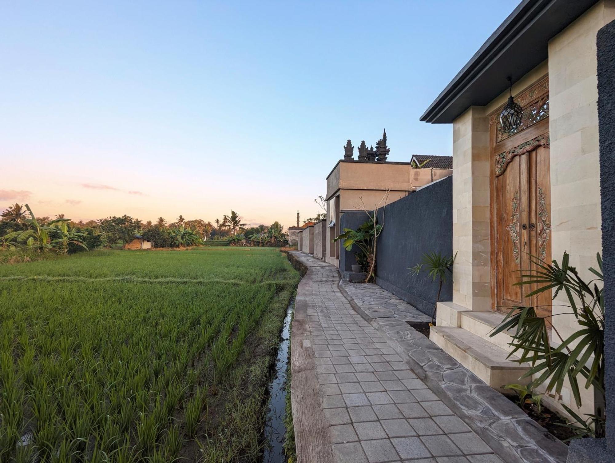 Villa Na-Na Ubud Luaran gambar